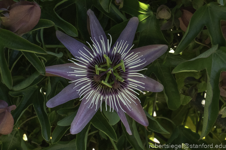 eleanor pardee park 2023